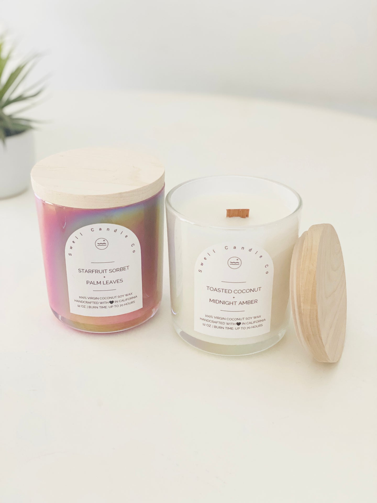coconut soy wax candles, starfruit + palm leaves, toasted coconut + midnight amber